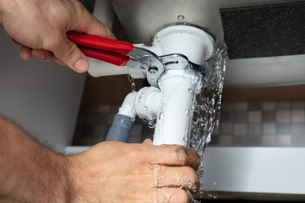Best Water damage mitigation services  in Pleasant Run, OH