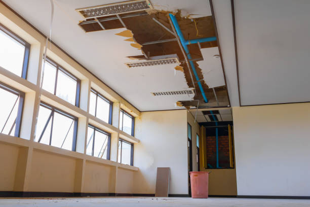 Best Water damage restoration near me  in Pleasant Run, OH
