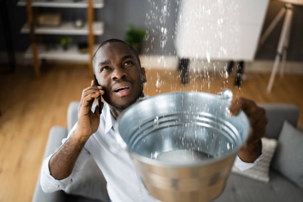 Best Water damage contractors near me  in Pleasant Run, OH