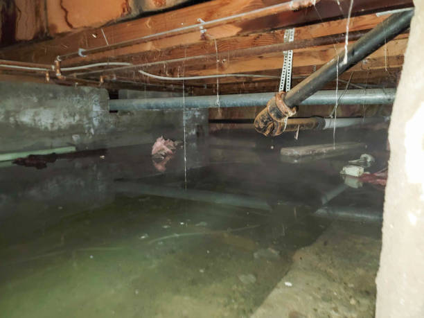 Best Fire Damage Restoration  in Pleasant Run, OH
