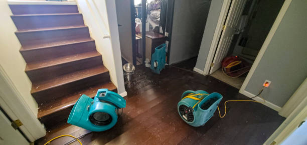Best Water damage restoration insurance claims  in Pleasant Run, OH