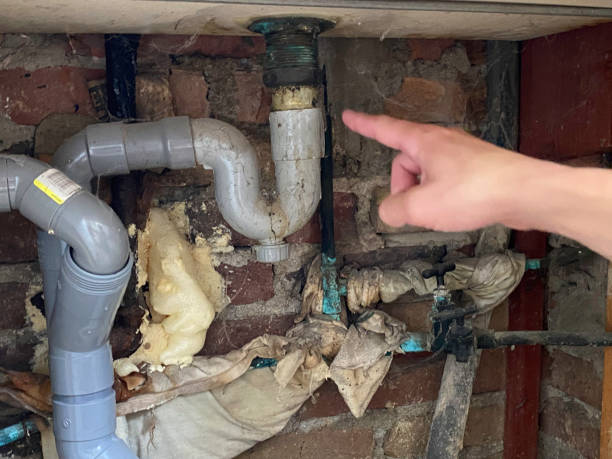 Best Local water damage restoration  in Pleasant Run, OH