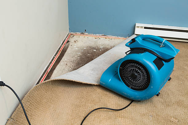 Best Water damage repair service  in Pleasant Run, OH